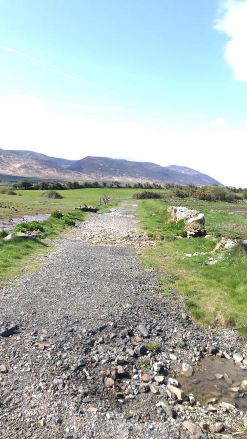 Neadin Beag Apartman Tralee Kültér fotó